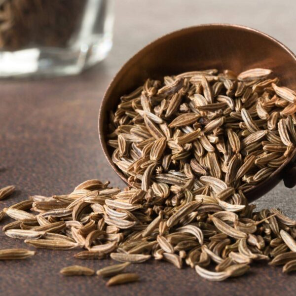 Premiumherbs Caraway 14 600x600