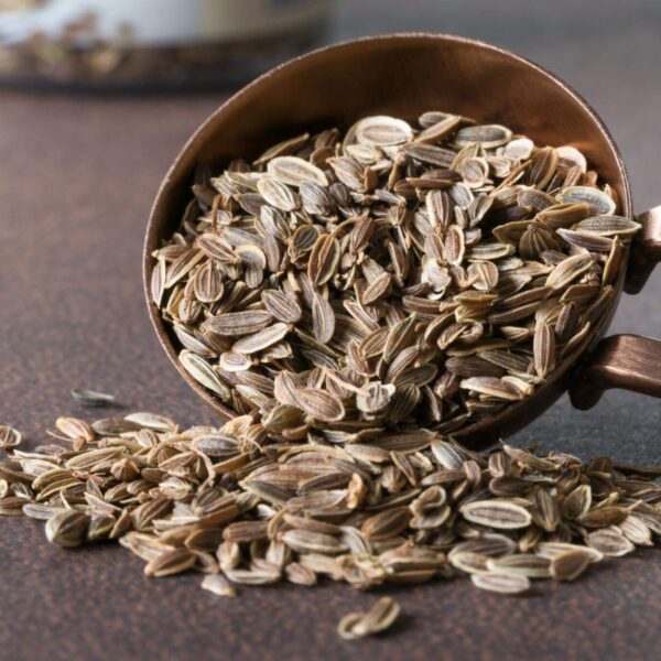 Premiumherbs Dill 14 1 600x600