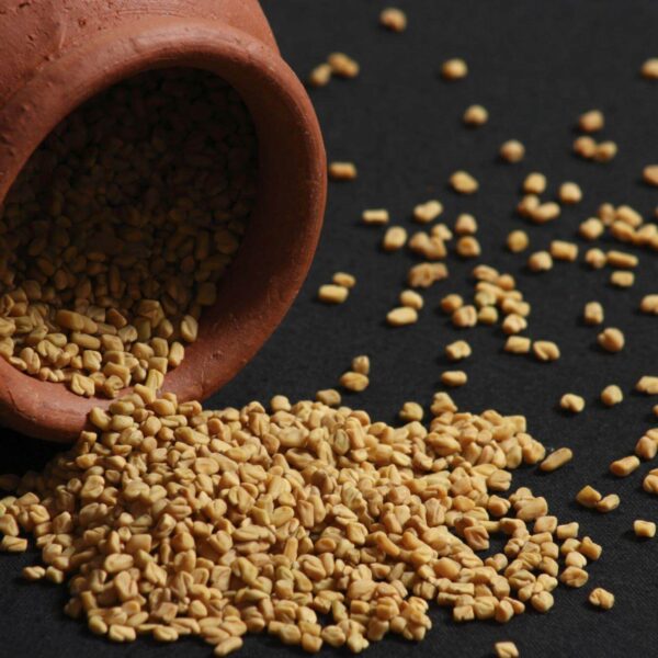 Premiumherbseg Fenugreek 1 600x600