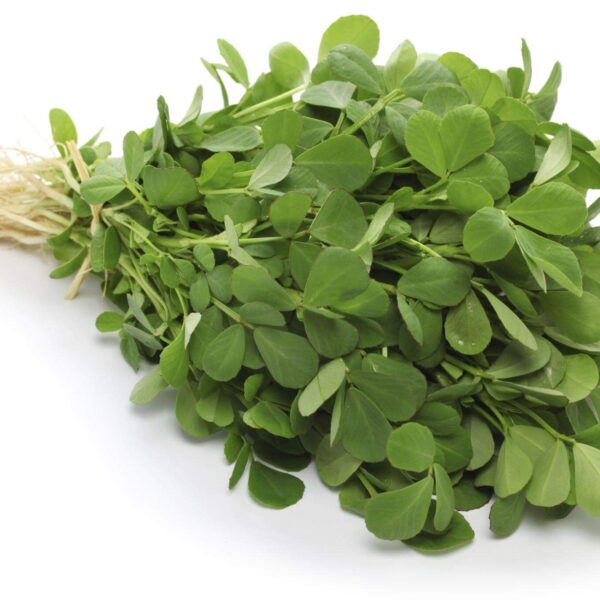 Premiumherbseg Fenugreek 12 600x600