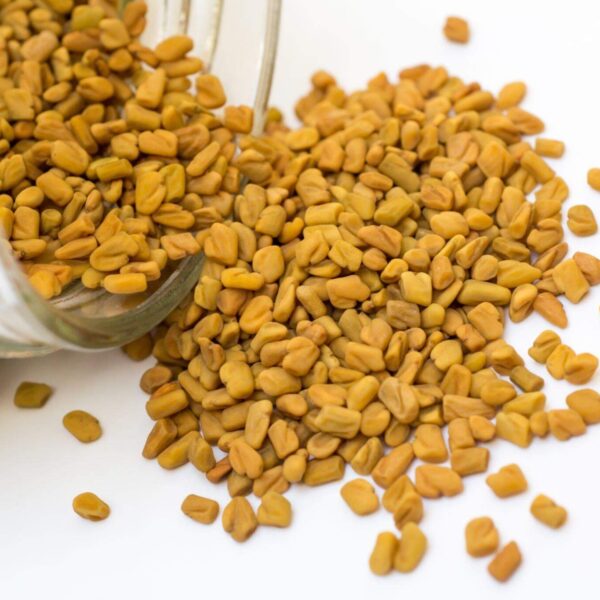 Premiumherbseg Fenugreek 13 600x600
