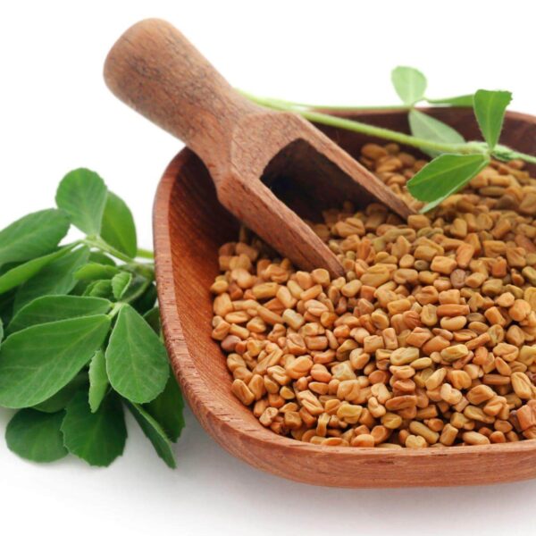 Premiumherbseg Fenugreek 14 600x600