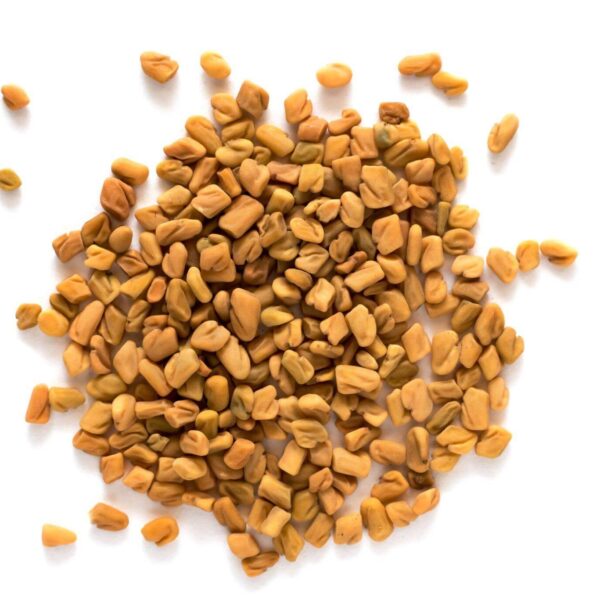 Premiumherbseg Fenugreek 16 600x600