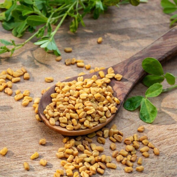 Premiumherbseg Fenugreek 2 600x600