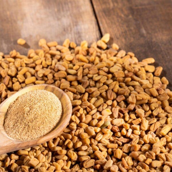 Premiumherbseg Fenugreek 6 600x600