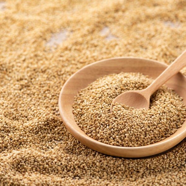Premiumherbseg Sesame 3 600x600
