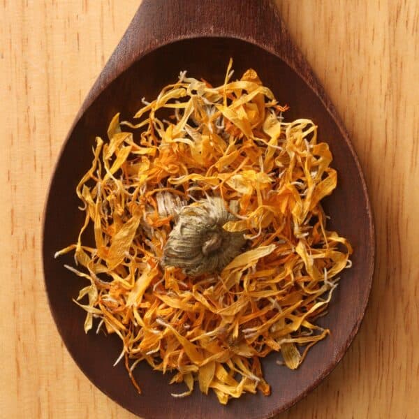 Premiumherbs Calendula 6 600x600