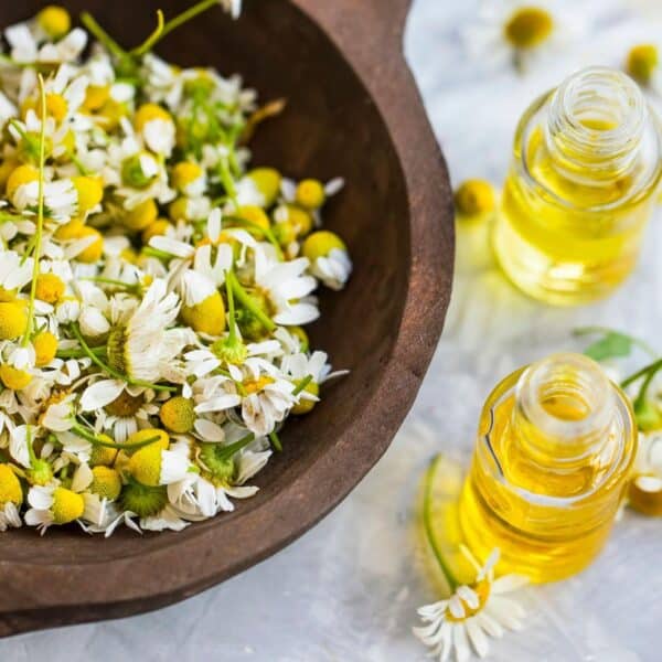 Premiumherbs Chamomile 1 600x600