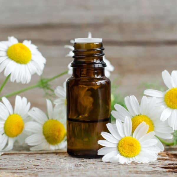 Premiumherbs Chamomile 11 600x600