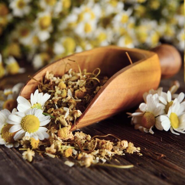 Premiumherbs Chamomile 5 600x600