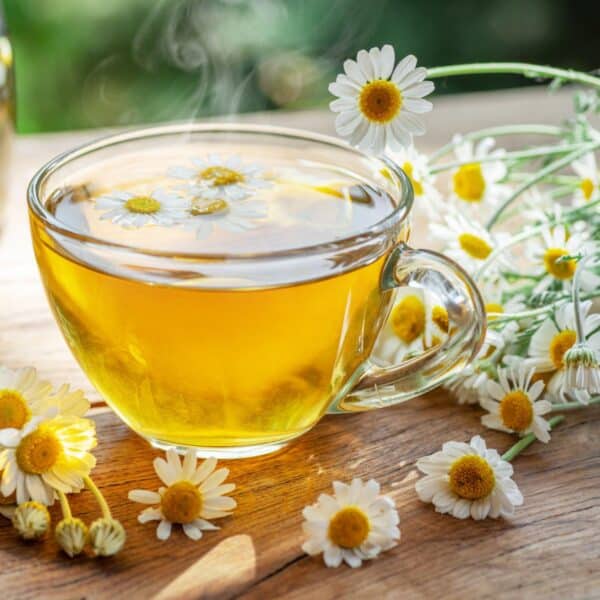 Premiumherbs Chamomile 7 600x600