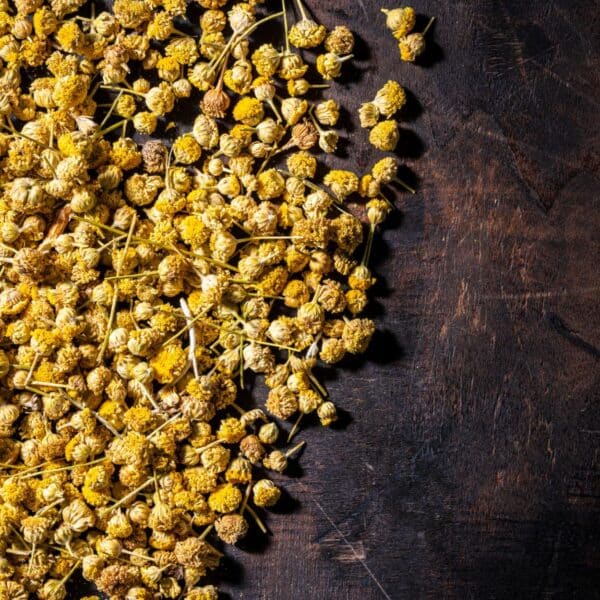 Premiumherbs Chamomile 9 600x600