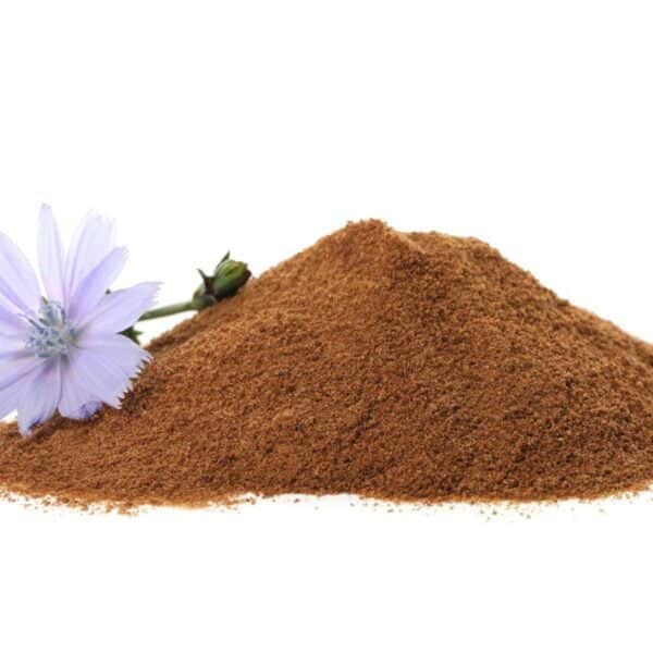 Premiumherbs Chicory 17 600x600