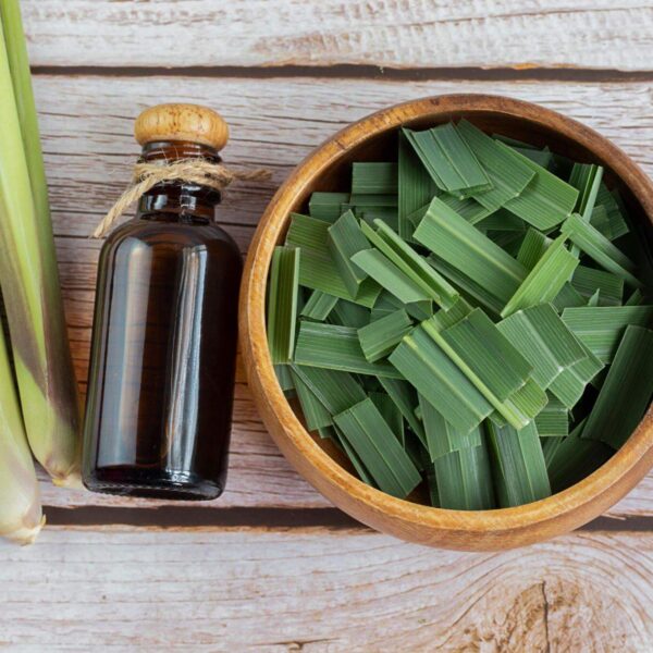 Premiumherbs Lemon Grass 6 600x600