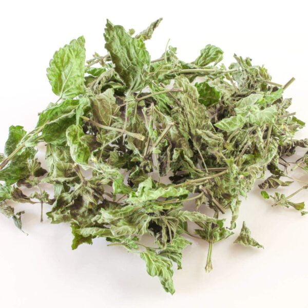 Premiumherbs Nettle 14 600x600