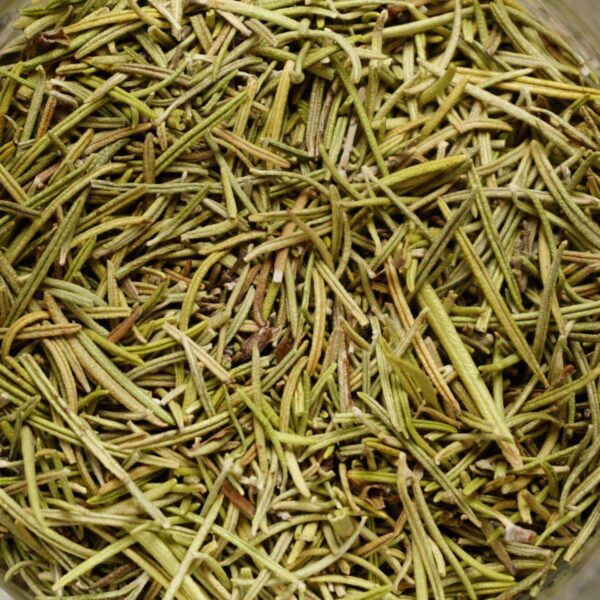 Premiumherbs Rosemary 13 600x600
