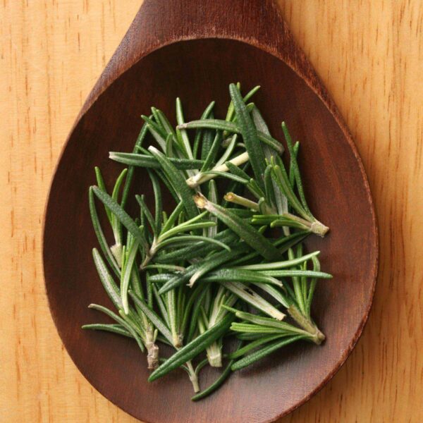 Premiumherbs Rosemary 15 600x600