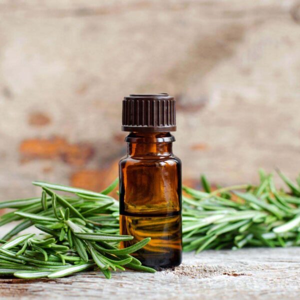 Premiumherbs Rosemary 4 600x600
