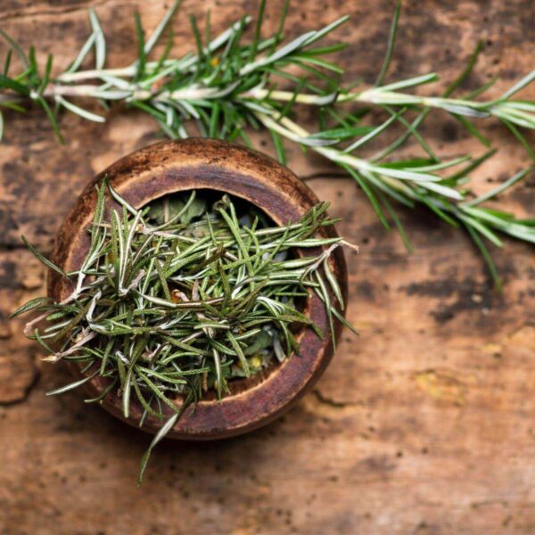 Premiumherbs Rosemary 9 600x600
